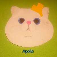 たぬき☆ (@topanko) 's Twitter Profile Photo たぬき☆ (@topanko) 's Twitter Profile Photo
