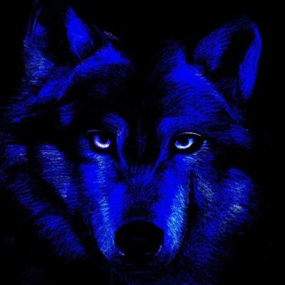 FadingWolf Profile Picture