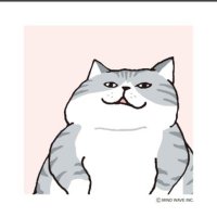 きぬもめん (@uminocurator) 's Twitter Profile