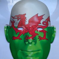 Welsh Cladiators(@WelshCladiators) 's Twitter Profile Photo