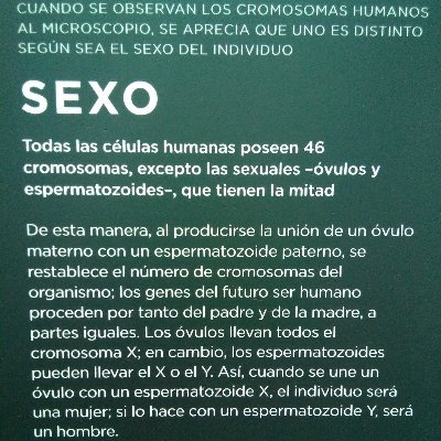 superprogre23's profile picture. 