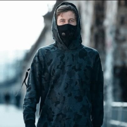 Hello! I'm Walker #93231 and a big fan of Alan Walker.