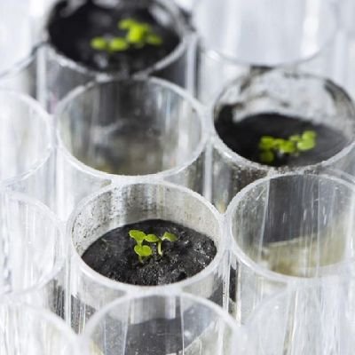 Solidar64382305's profile picture. Human rights watch, Exposing Dirty politics.