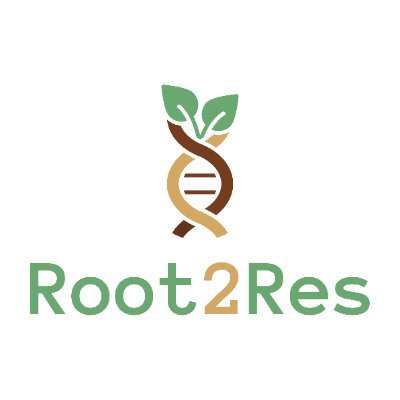 🌱 Root phenotyping and genetic improvement for rotational crops resilient to environmental change

🇪🇺 Funded under Horizon Europe