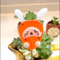 Cobitoglass (@cobitoglass) Twitter profile photo