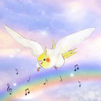 クピルン ☆ (@kupirun) 's Twitter Profile