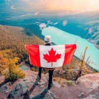 Windy Col.lens.bnb (💙,🧡) 🏰🐰🛸(🌸, 🌿) ⚙️ (@coltonwindy) 's Twitter Profile