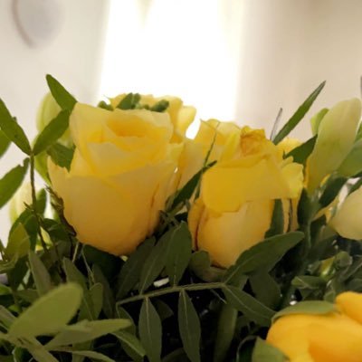 brabusbae's profile picture. 