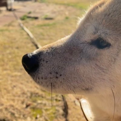 高崎経済大学だったもの /教職/unisonファン 🏀 https://t.co/o8IzU9CmqU