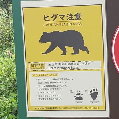 norikawa1199's profile picture. 