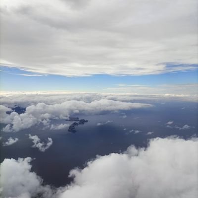 fullonic's profile picture. 