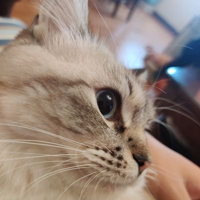 baibaimaifuland's profile picture. 