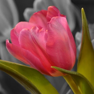 Rini15472735's profile picture. 