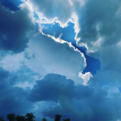 zhungknchng1's profile picture. 