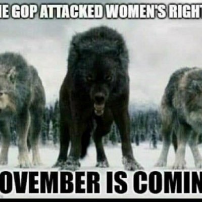 j123_sherry's profile picture. VOTE BLUE. Educated liberal. Back up tweets with reliable sources. Living in a Red state that’s swimming toward the surface. No DM’s please.