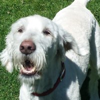 Publius981 (@publius981) 's Twitter Profile Photo Publius981 (@publius981) 's Twitter Profile Photo