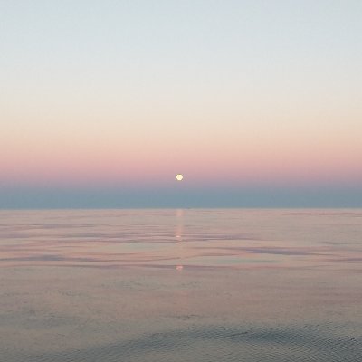 crazylizardman3's profile picture. 