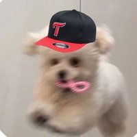 류아 (@ryuah_17) 's Twitter Profile