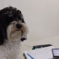 Marcelo Marchetta (@marche1989) 's Twitter Profile