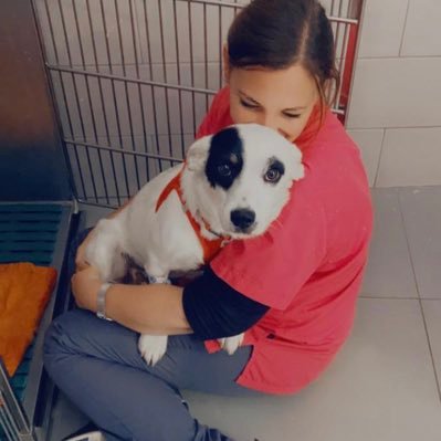 IletaittempsB's profile picture. ASV 🐶🐭🐰 et ultrate 👑