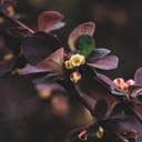 ly le.li - @lyleli0716 - Twitter