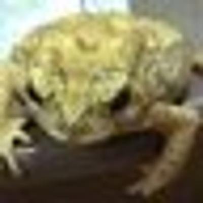 GraveyardEightさんのプロフィール画像