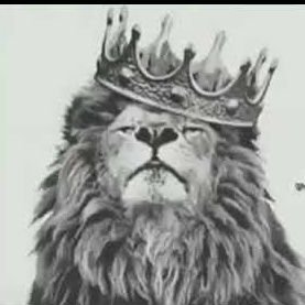 Mks0091's profile picture. 🇵🇸