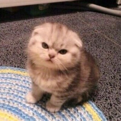 __drawtheline's profile picture. medyo boang thotz and au dump for enha 🥢