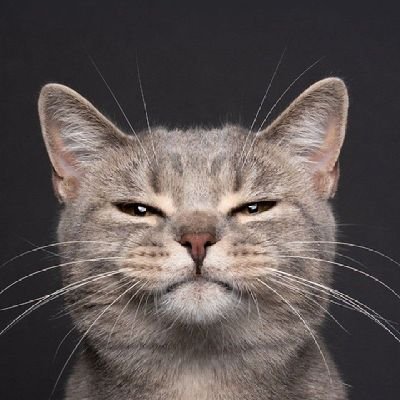 hwaitingdj's profile picture. EXO