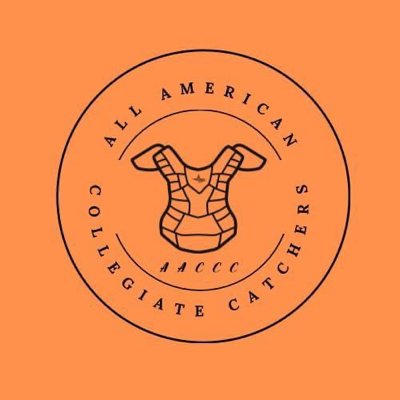 THEAACCC_'s profile picture. 1 on 1 fast pitch softball instruction