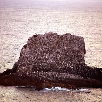 Esbrugz's profile picture. Fuck off pig. Charade you are...