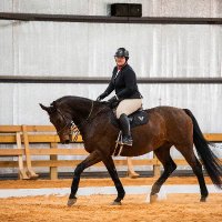 College Equestrian Blog (@collegeeqblog) 's Twitter Profile