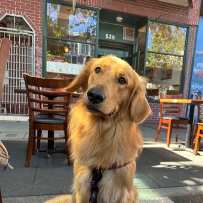 waxcorp's profile picture. .