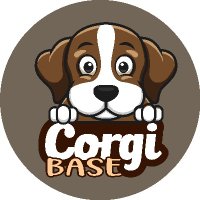 corgi base (@basecorgi) 's Twitter Profile