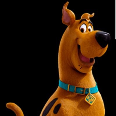 scallylimerick's profile picture. 