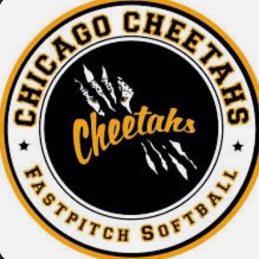 Chicago Cheetahs 18u Bowman