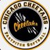 Chicago Cheetahs 18u Bowman (@Cheetahs18uBB) Twitter profile photo