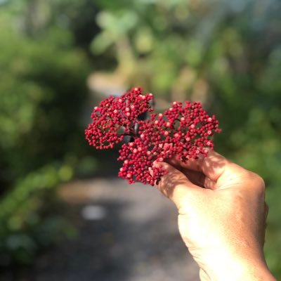 Kevin20016767's profile picture. "💙 https://t.co/NLmaSztOoR Army".fuel