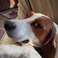 Charlanne Tippett (@acrackedpot_ct) 's Twitter Profile Photo Charlanne Tippett (@acrackedpot_ct) 's Twitter Profile Photo