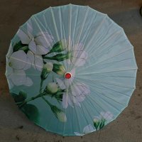垃圾账号 (@wangbaolianggan) 's Twitter Profile