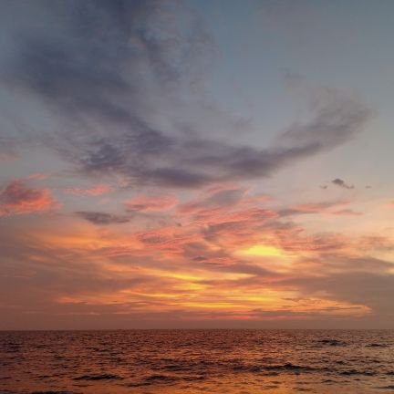 ann18pn's profile picture. Tech twitter|Learning - FrontEnd web developer|