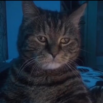 hamidsonline's profile picture. Public Page