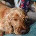 Caroline Grundy (@missgrundyyear3) Twitter profile photo Caroline Grundy (@missgrundyyear3) Twitter profile photo