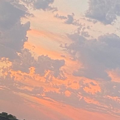 LoveOverHate33's profile picture. 🌙