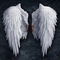 TexasMagnolia (@texasmagnolia2) 's Twitter Profile Photo TexasMagnolia (@texasmagnolia2) 's Twitter Profile Photo