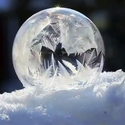 BehradRahimli's profile picture. un diplôme en génie civil, je m’efforce toujours de contribuer au développement et à la prospérité du monde tout en veillant à préserver l’environnement et... .