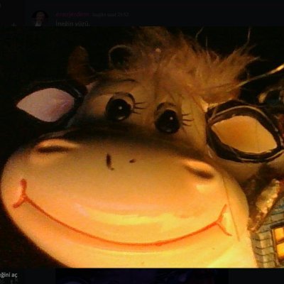 elibacak's profile picture. benim elim bacak
