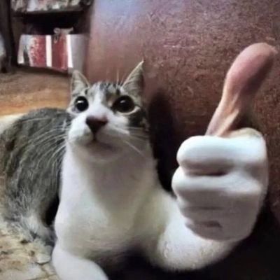 aziz.さんのプロフィール画像
