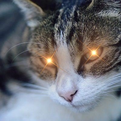 Machine learning. AI. Angel.