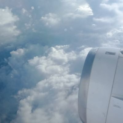 AlejoC03's profile picture. ❤️🤍@NFFC
🤍🖤@realmadrid